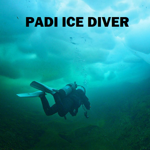 Ice Diver